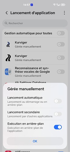 Screenshot_20260403_165706_com_hihonor_systemmanager_StartupAppControlActivity