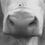 Berger_Lois