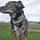 Doris_Lauterbach